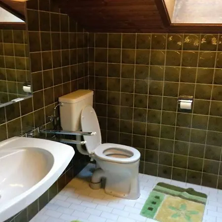 Apartment Casa Alpina *