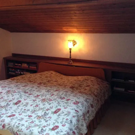 Casa Alpina Apartment Saalbach